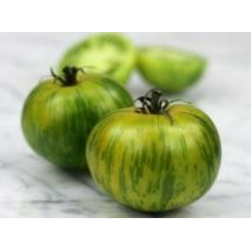 TOMATE GREEN ZEBRA