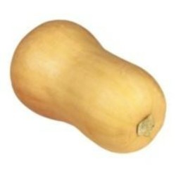 COURGE BUTTERNUT